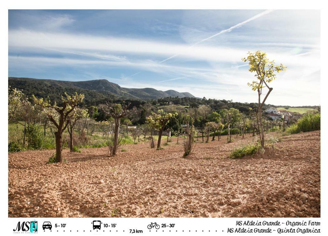 Ms Apartamentos, Setubal Luaran gambar
