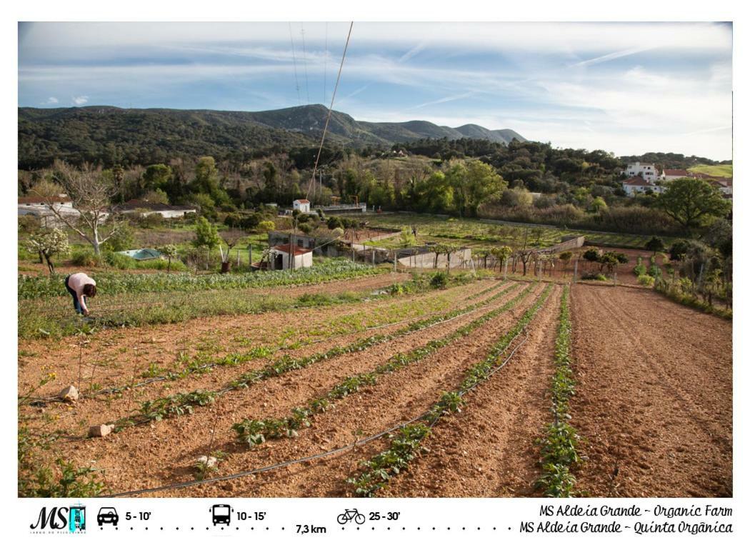 Ms Apartamentos, Setubal Luaran gambar